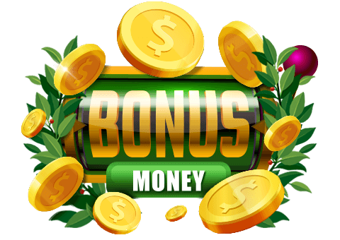 Prize Image Bonuses
